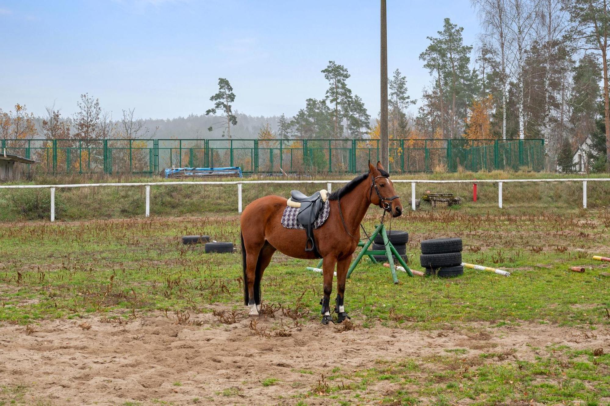 Lesny Dworek Sominy - Dom Z Sauna I Kominkiem Exterior foto